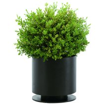 Jardiniera Cima Model 2